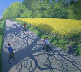 Ciclistas e campo amarelo, Kedleston, Derby